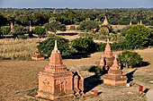 Bagan Myanmar. View of the various stupas close to Buledi. 